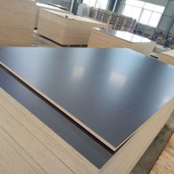 Фанера ламинированная 12x1220x2440 мм